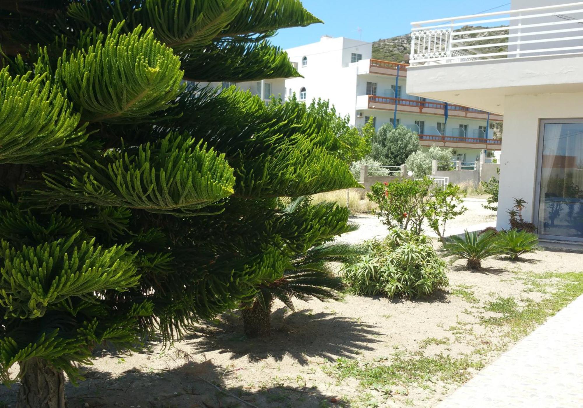 Faliraki Dream Studios&Apartments Exterior foto